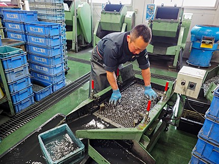 前職の経験も生かす!さらなる品質向上を目指して修行中!